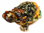 Multi-Stone Turtle – PE0050426