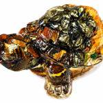 Multi-Stone Turtle – PE0050426
