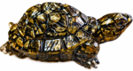 Pyrite Turtle – PE0040426 - Image 3