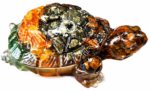 Multi-Stone Turtle – PE0050426 - Image 3