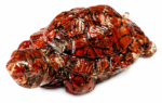 Jasper Turtle – 57 gm