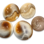 Gomti Chakra (Natural) – Set of 5 Pieces