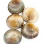 Gomti Chakra (Natural) – Set of 5 Pieces