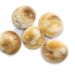 Gomti Chakra (Natural) – Set of 5 Pieces